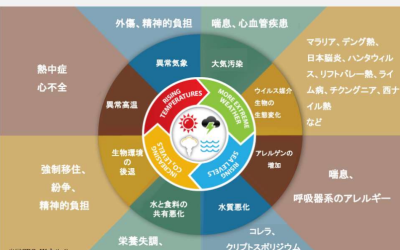 2026年度 第二回グリーンフェイスジャパン・フェローシッププログラム