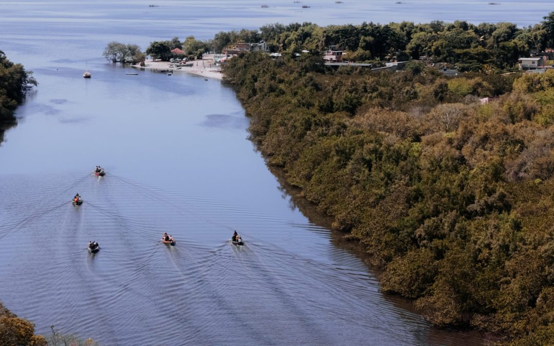 2026: Desafios, Oportunidades e o Combate à Desinformação